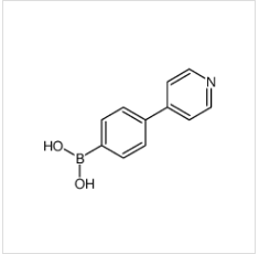 4-(4-吡啶基)苯硼酸|1045332-30-6 