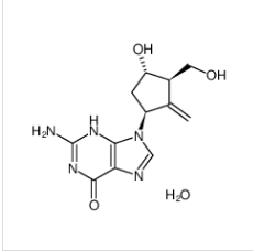 恩替卡韦一水合物|209216-23-9 