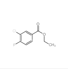 3-氯-4-氟苯甲酸乙酯|137521-81-4 