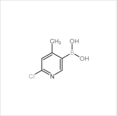 2-氯-4-甲基吡啶-5-硼酸|913836-08-5 