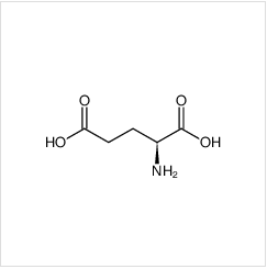 谷氨酸|56-86-0 