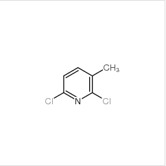 2,6-二氯-3-甲基吡啶|58584-94-4 
