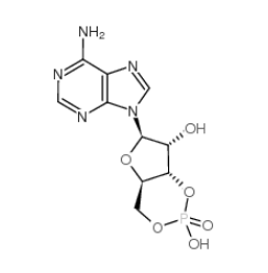 腺苷环磷酸酯|60-92-4 