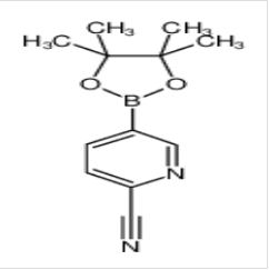 2-氰基吡啶-5-硼酸频那酯|741709-63-7 