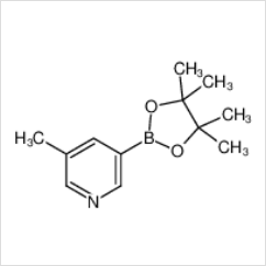 3-甲基吡啶-5-硼酸频哪醇酯|1171891-42-1 