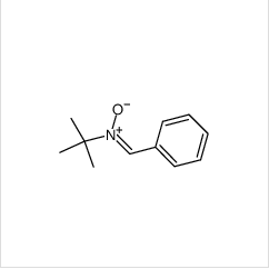 N-叔丁基-α-苯基硝酮|3376-24-7 