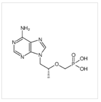 1-(6-氨基嘌呤-9-基)丙-2-基氧基甲基膦酸|107021-12-5 