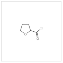 2-四氢呋喃甲酰氯|52449-98-6 