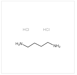 1,4-丁二胺二盐酸盐|333-93-7 