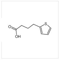 4-(2-噻吩基)丁酸|4653-11-6 